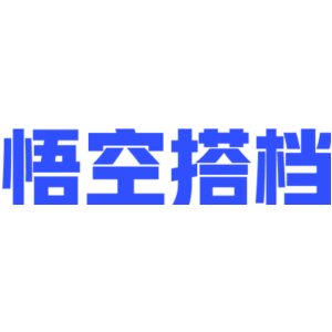 悟空搭档