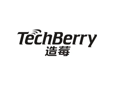TECHBERRY 造莓