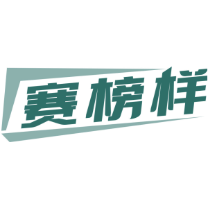 赛榜样