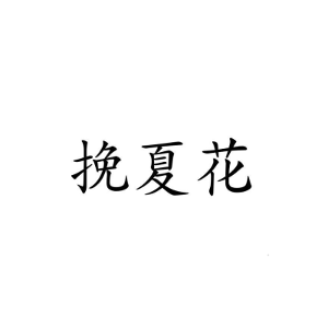挽夏花