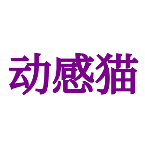 动感猫