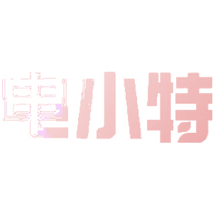 电小特