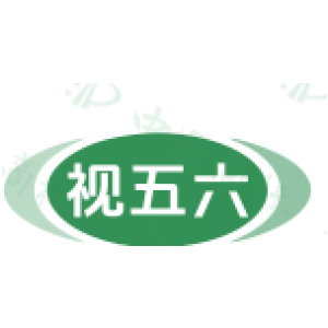 视五六