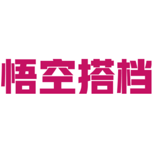 悟空搭档