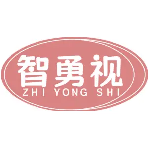 智勇视