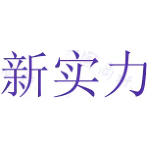 新实力