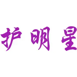 护明星