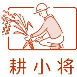 耕小将