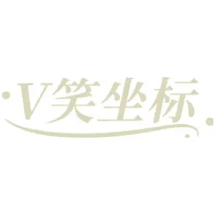 V笑坐标