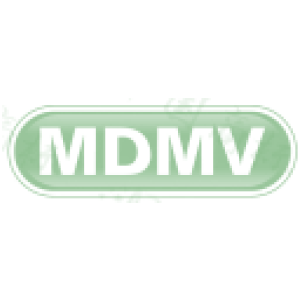 MDMV-商标