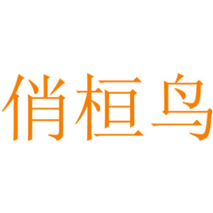俏桓鸟
