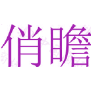 俏瞻