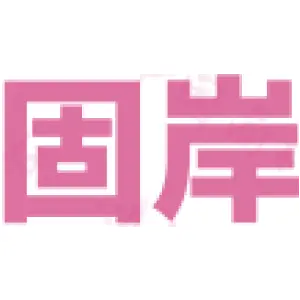 固岸