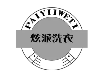 炫派洗衣 PAIYIIWETI