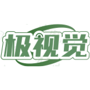 极视觉