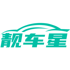 靓车星