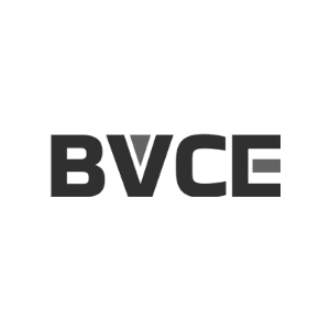 BVCE-商标