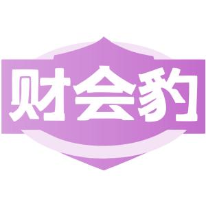 财会豹