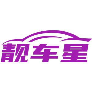 靓车星