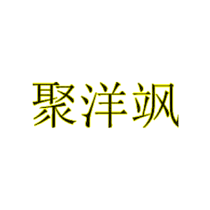 聚洋飒