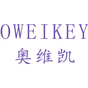 奥维凯 OWEIKEY