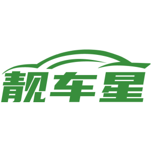 靓车星