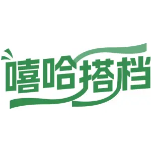 嘻哈搭档