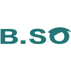 B.SO