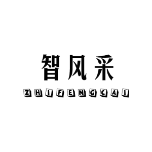 智风采