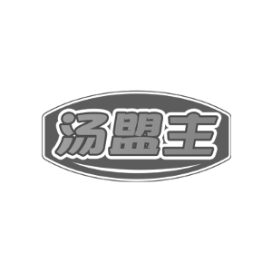 汤盟主