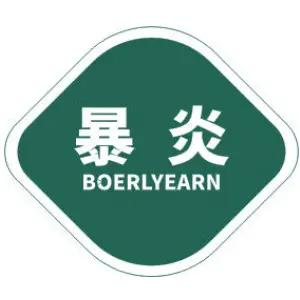 暴炎 BOERLYEARN