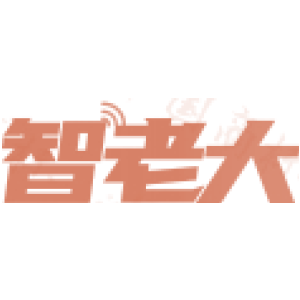 智老大