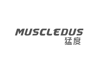 猛度 MUSCLEDUS