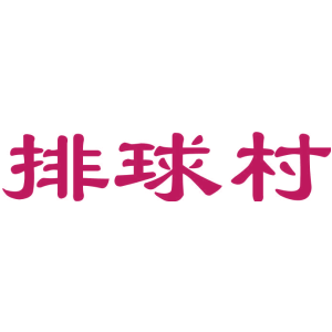 排球村
