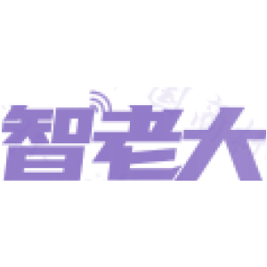智老大