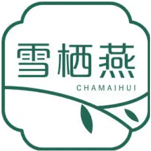雪栖燕 CHAMAIHUI