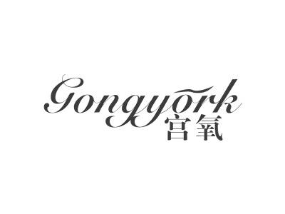 宫氧 GONGYORK