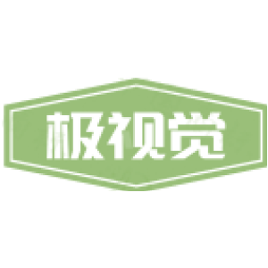 极视觉