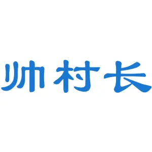 帅村长