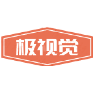 极视觉