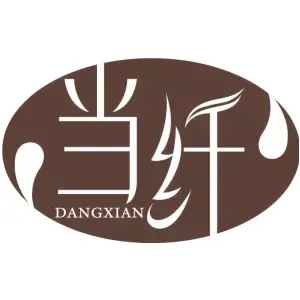 当纤DANGXIAN