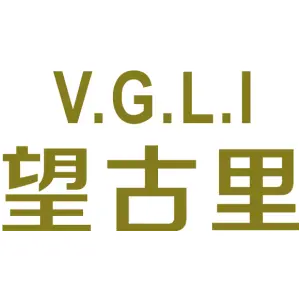 V.G.L.I 望古里