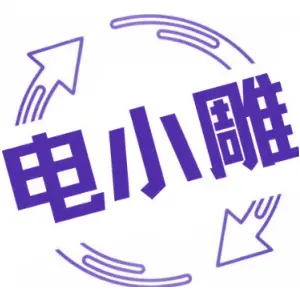 电小雕