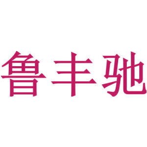 鲁丰驰