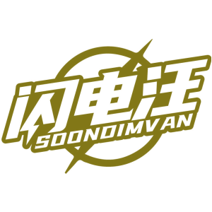 闪电汪 SOONDIMVAN