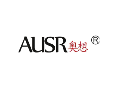 AUSR 奥想