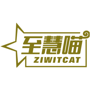 至慧喵 ZIWITCAT