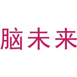 脑未来