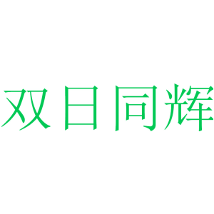 双日同辉