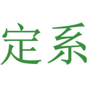 定系